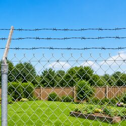 Barbed Wire Roll 100m - Specifications and Features