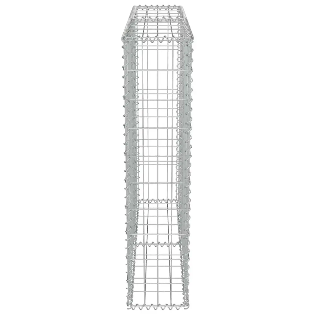 Gabion Wall Retaining Fence Panel Galvanised Steel 100x20x100 cm Silver