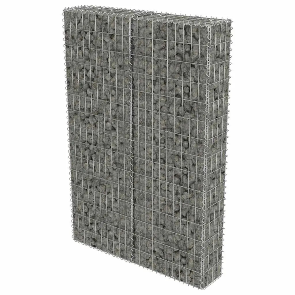 Gabion Wall Retaining Barrier for Garden 100x20x150 cm Silver