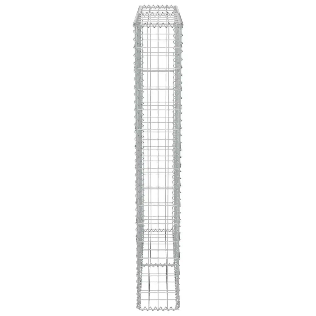 Gabion Wall Retaining Barrier for Garden 100x20x150 cm Silver