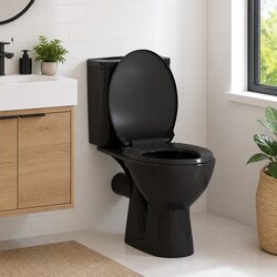 Specifications of a Black Soft Close Quick Release Toilet Seat