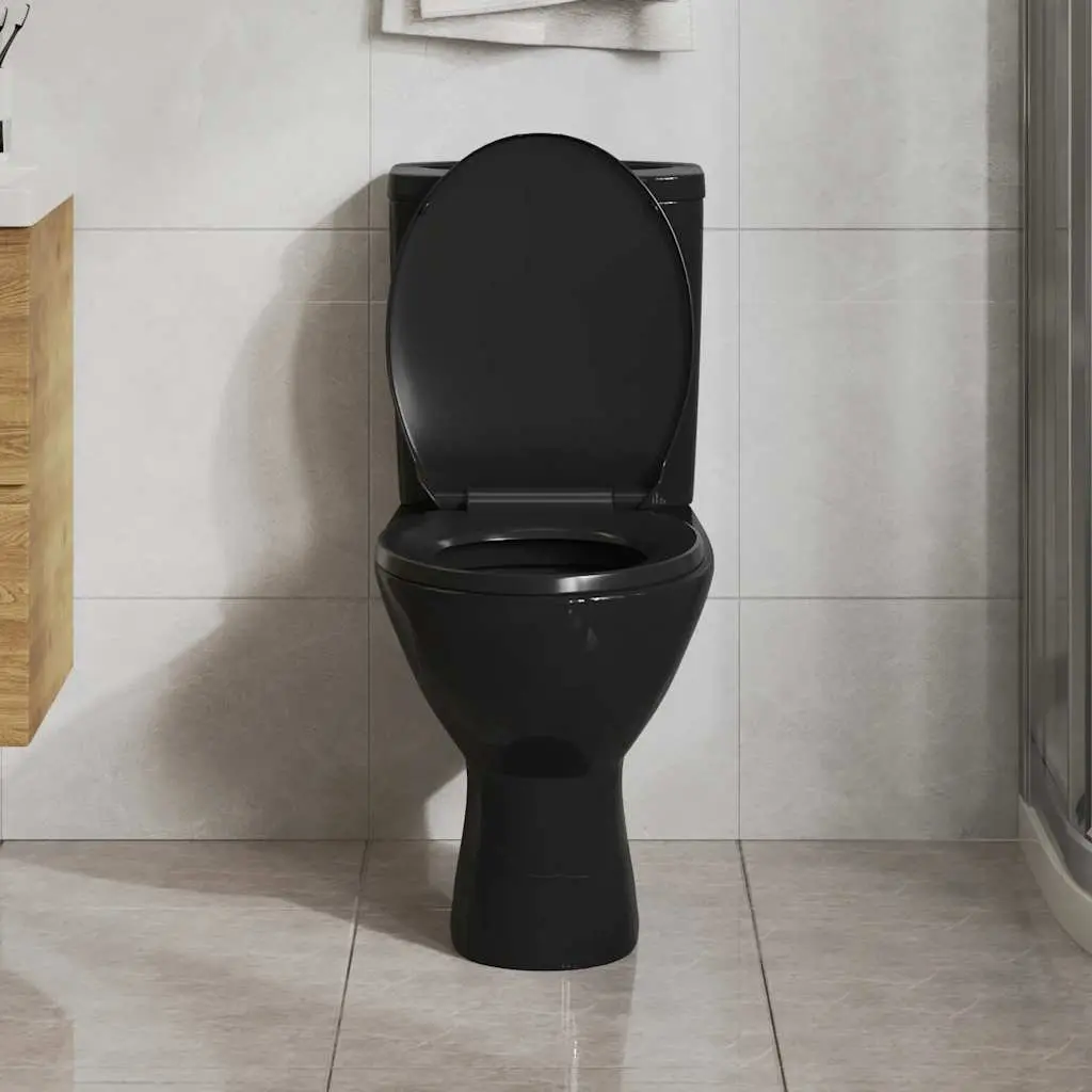 Toilet Seat Standard Bowl Black Soft Close Quick Release Bathroom Fixture