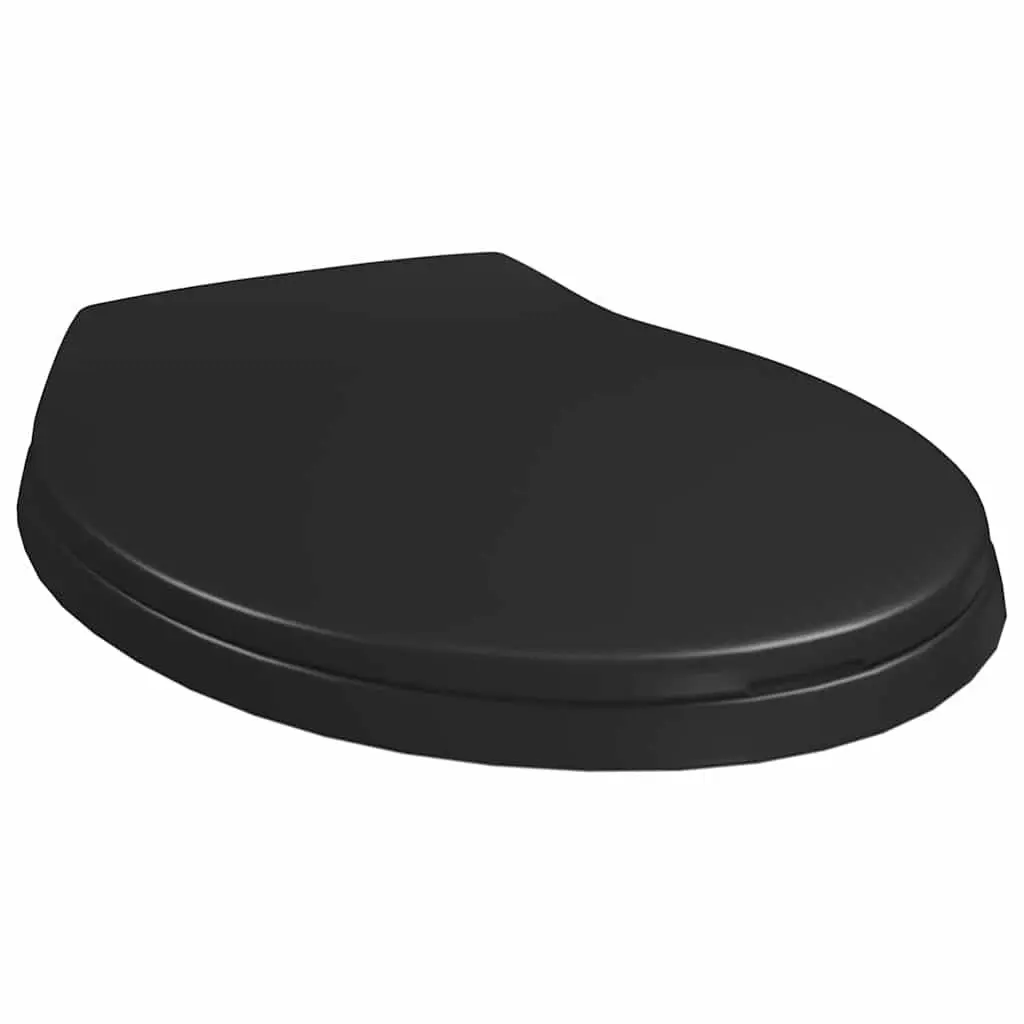 Toilet Seat Standard Bowl Black Soft Close Quick Release Bathroom Fixture