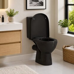 Soft-close Toilet Seat with Quick-release Design Black Standard Size Bathroom