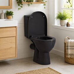 Specifications of Black Soft-Close Toilet Seat