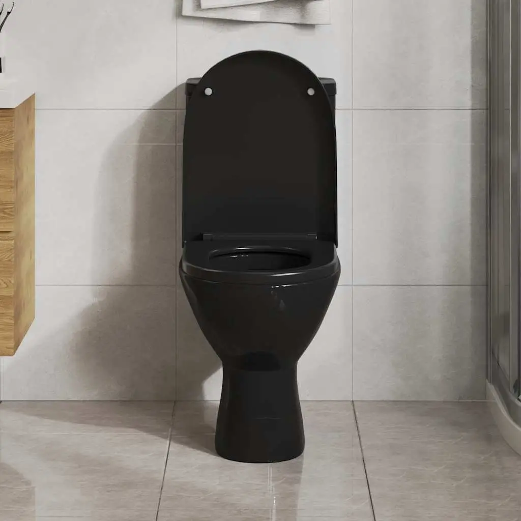 Toilet Seat Black Quick Release Soft Close Standard Bowl Size Bathroom