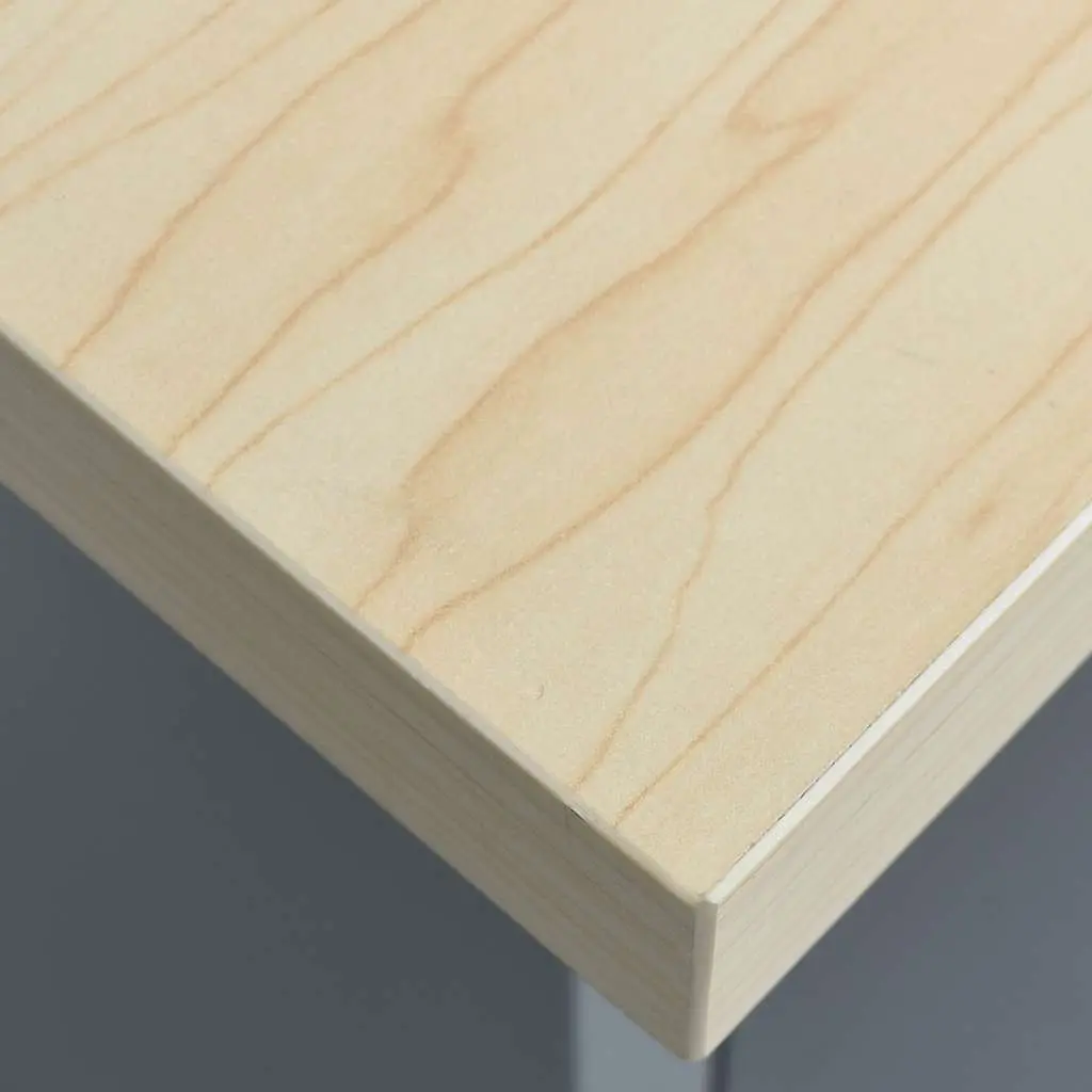 Heavy Duty Workbench for Workshop 120x60x85 cm with 2 Drawers and Lockable Cabinets