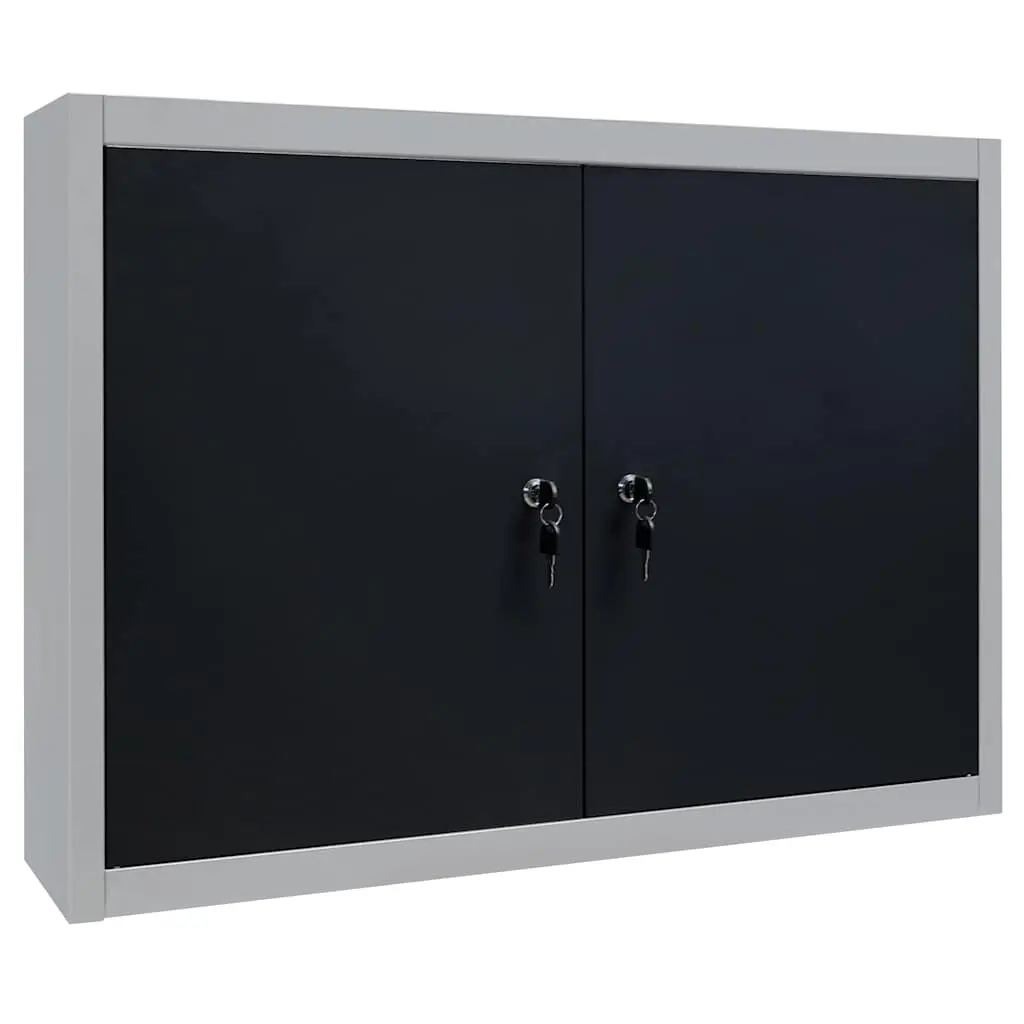 Wall Mounted Tool Cabinet with Lockable Doors