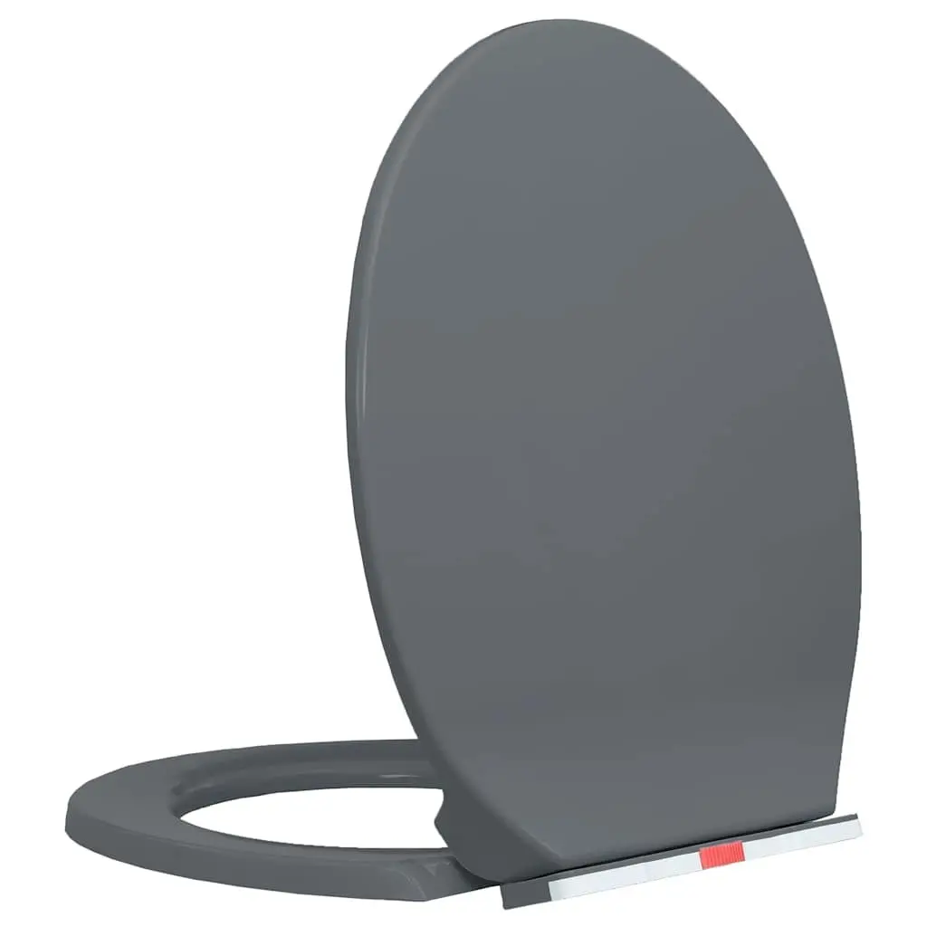 Soft-Close Toilet Seat Quick Release Grey Oval Standard Bowl Bathroom