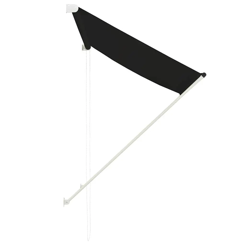 Retractable Awning 100x150 cm Anthracite Window Terrace Balcony Garden Canopy