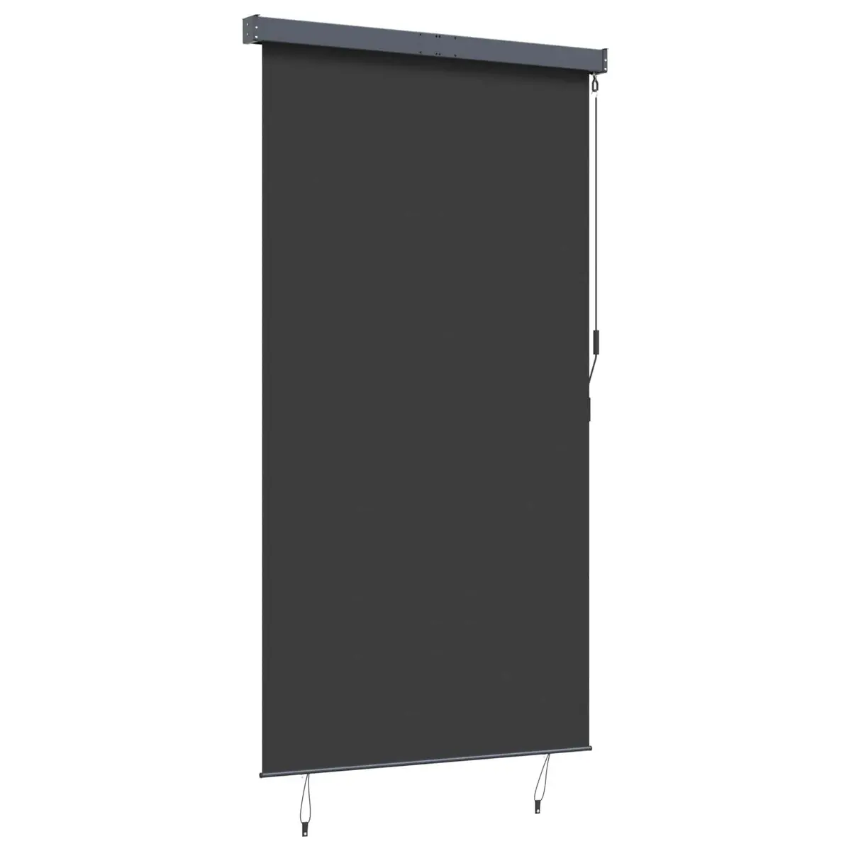 Outdoor Roller Blind Patio Garden Balcony 140x250cm Anthracite Shade Hand Crank