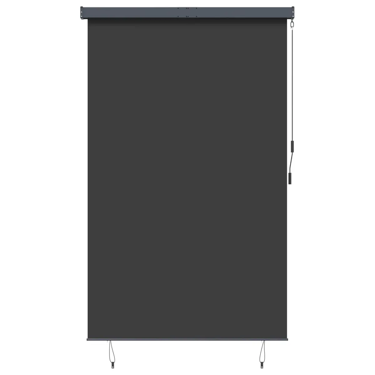 Outdoor Roller Blind for Patio Garden Balcony 160x250 cm Anthracite