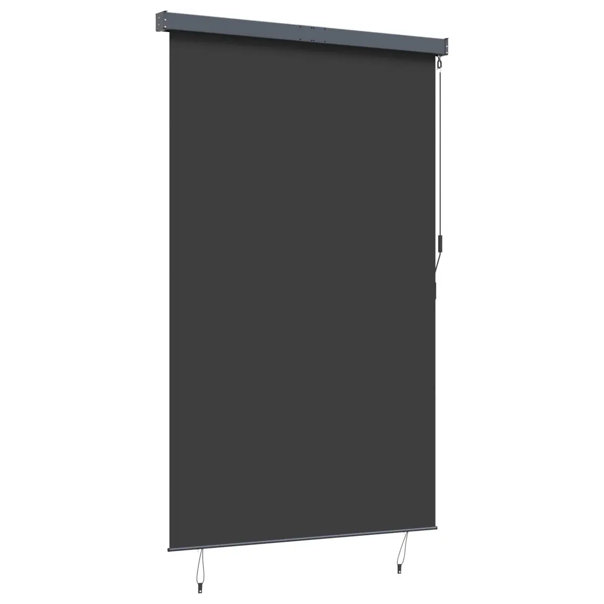 Outdoor Roller Blind for Patio Garden Balcony 160x250 cm Anthracite