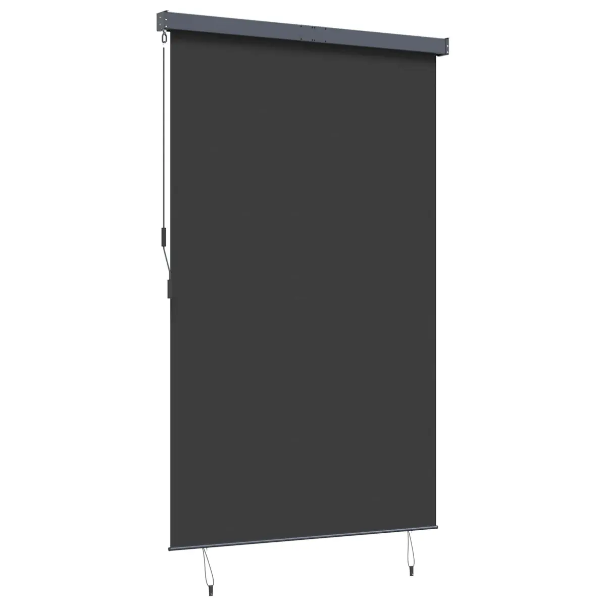Outdoor Roller Blind for Patio Garden Balcony 160x250 cm Anthracite