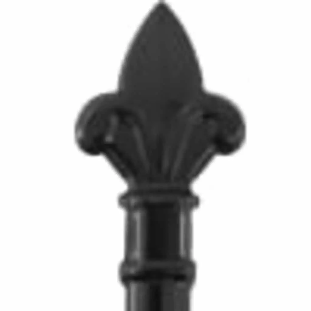 Double Gate Garden Fence Barrier for Outdoor Use 299.5x199.5cm Black Heavy-Duty Steel