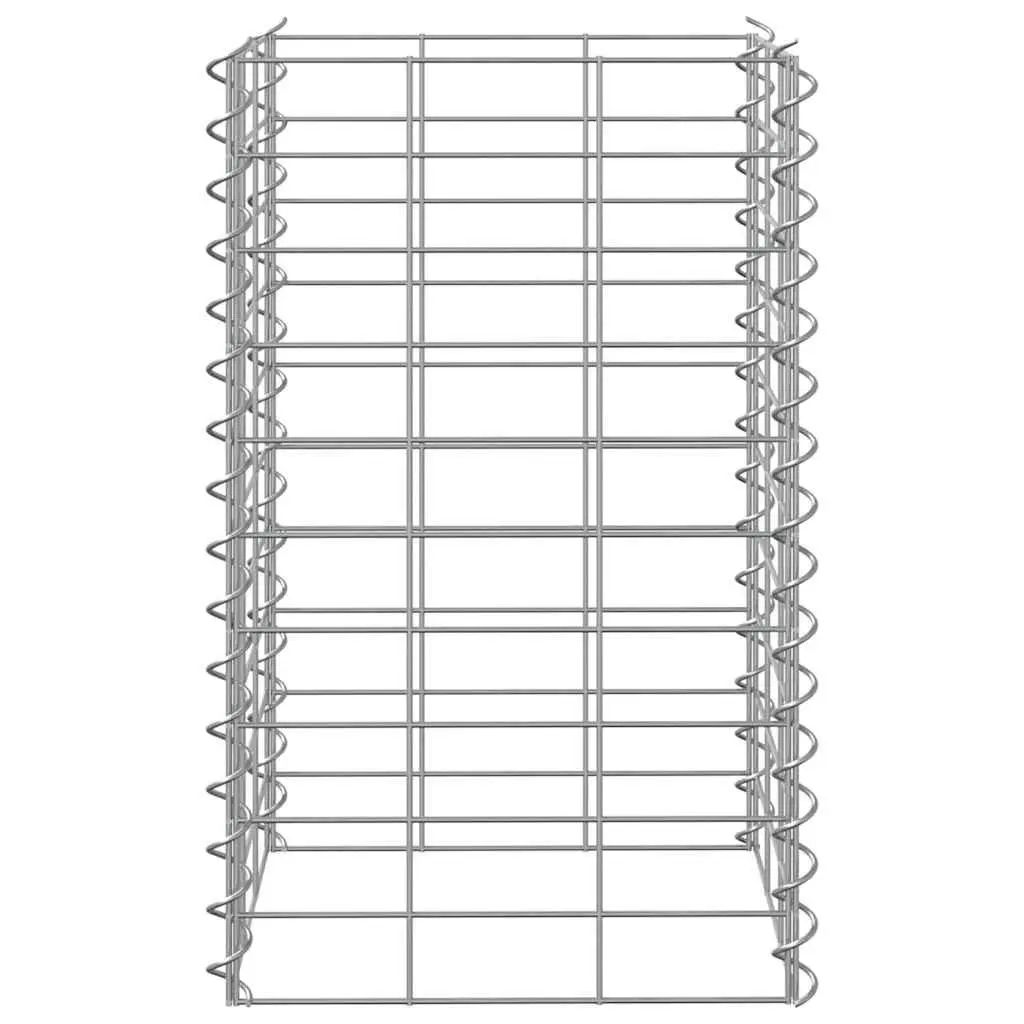 Gabion Raised Beds for Garden 30x30x50 cm Iron Planter