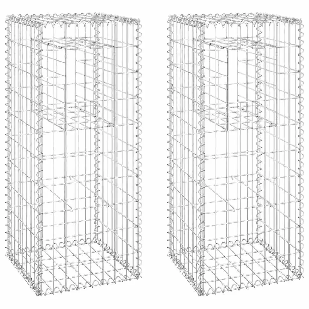 Gabion Basket Posts Set 2 pcs 40x40x100 cm Iron