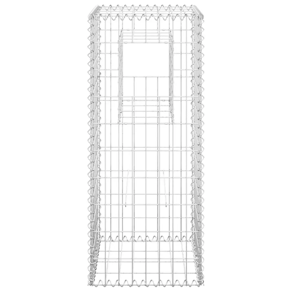 Gabion Basket Posts Set 2 pcs 40x40x100 cm Iron