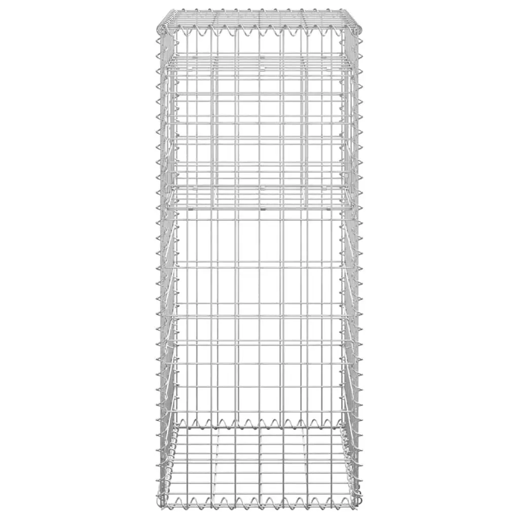 Gabion Basket Posts Set 2 pcs 40x40x100 cm Iron