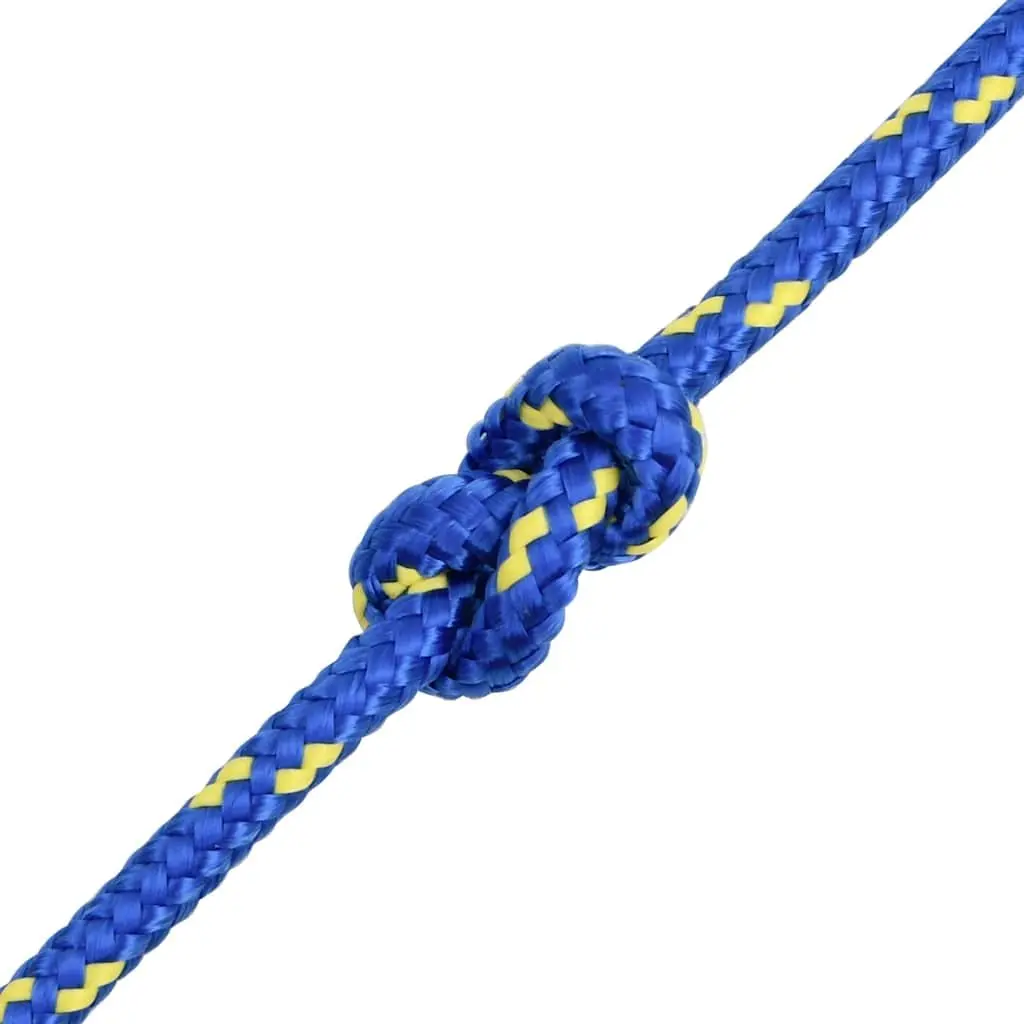 Marine Rope 10mm 100m Blue Polypropylene Braided Dock Line for Sailing Boating Yachting