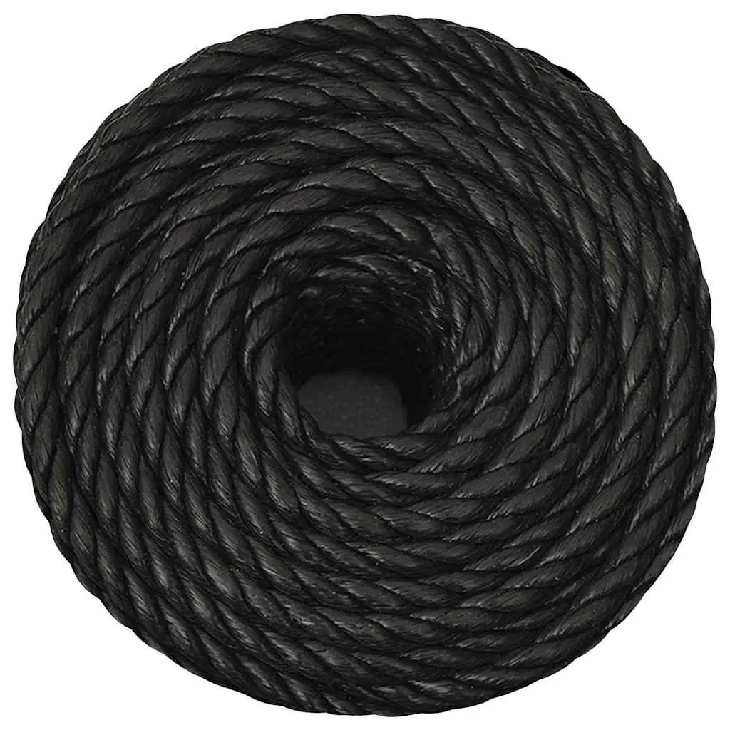 Twisted Polypropylene Rope for Garden Workshop 10mm 100m Black