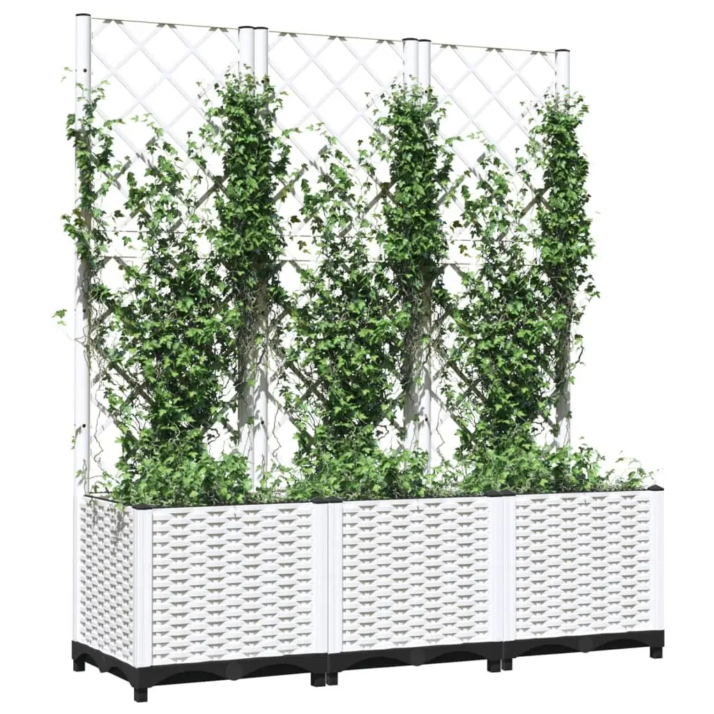 Garden Planter with Trellis for Climbing Plants 120x40x136cm