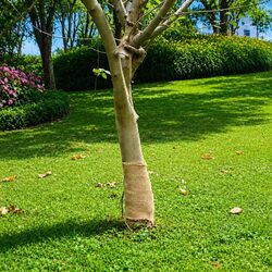 Jute Roll Specifications: 0.25m Wide by 15m Long, 200 gsm