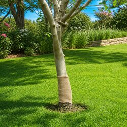 Specifications for Jute Roll 0.25x25m Natural