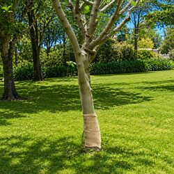 Specifications of Jute Roll 0.25x100 m Natural Burlap for Crafts