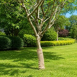 0.5x25m Natural Jute Roll for Crafting and Events