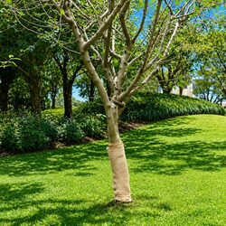 Jute Roll Specifications: 0.5m x 50m, Natural Burlap Material