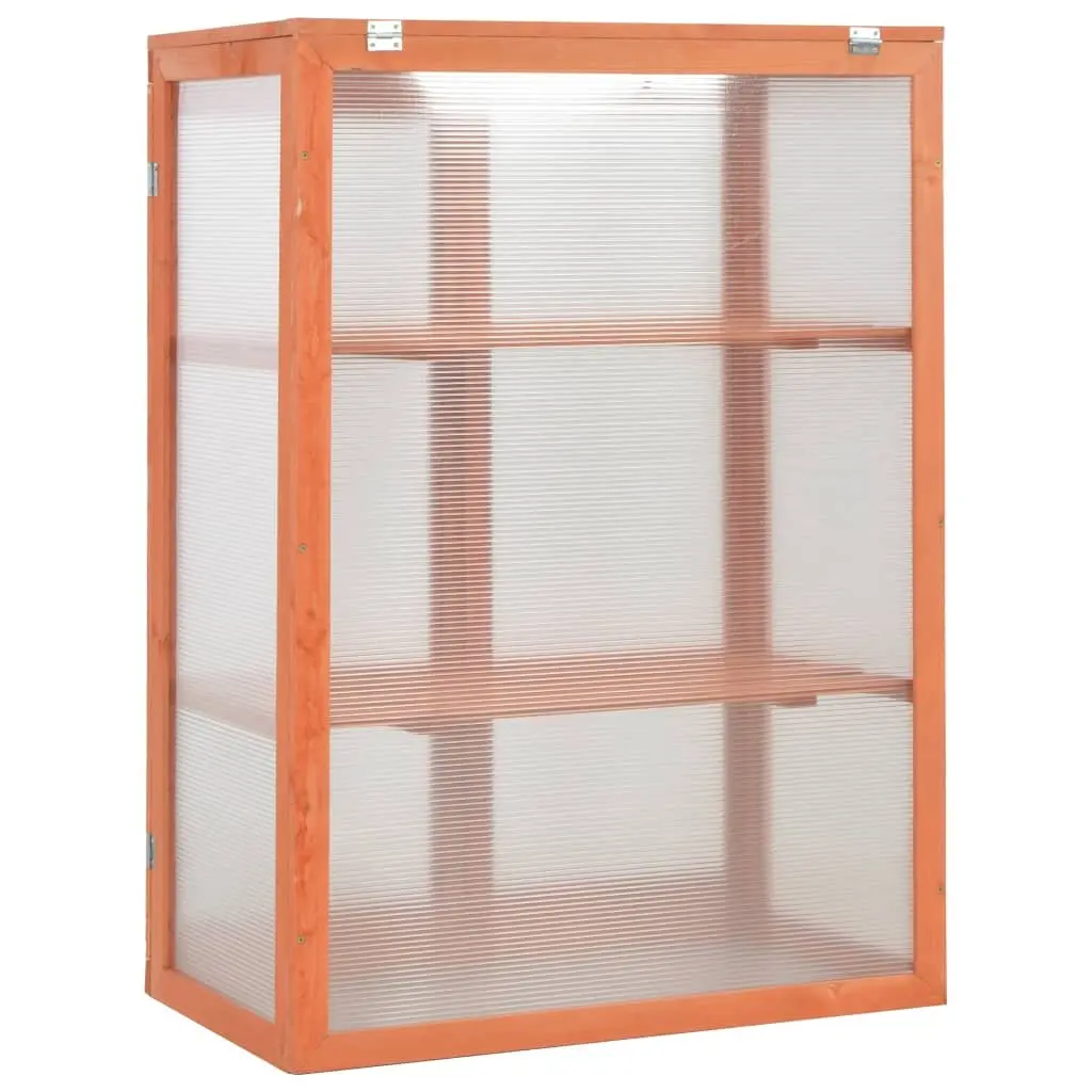 Wooden Garden Greenhouse for Hobby Gardening 75x47x109cm Brown with PC Board and 2 Shelves