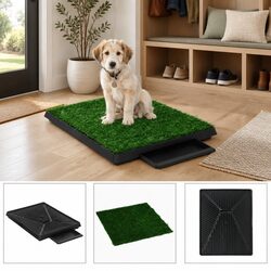 Pet Toilet Training Pad Specifications: 63x50cm, Artificial Turf