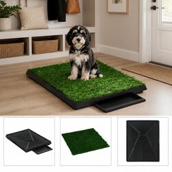 Pet Toilet Training Pad with Dimensions of 63 x 50 x 7 cm