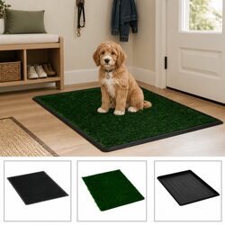 Pet Toilet Training Pad with Tray – 76 x 51 x 3 cm