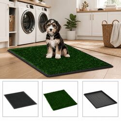 Pet Training Toilet with Integrated Tray - 2 Pack