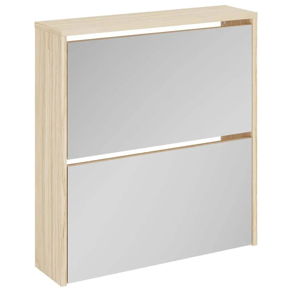 Shoe Cabinet Wall Mounted Brown 2 Layer Storage Organiser