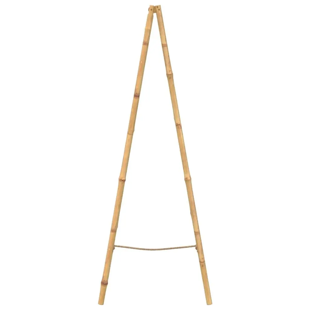 Double Towel Ladder Bathroom 50x160cm