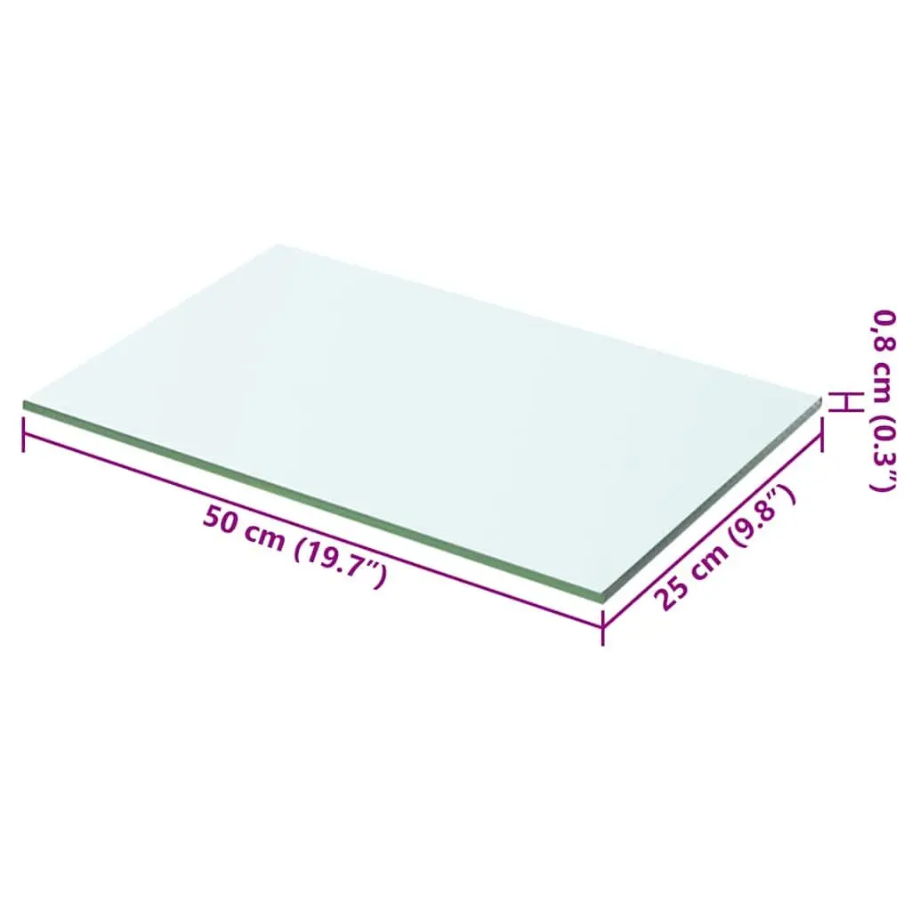 Transparent Glass Shelf Panel