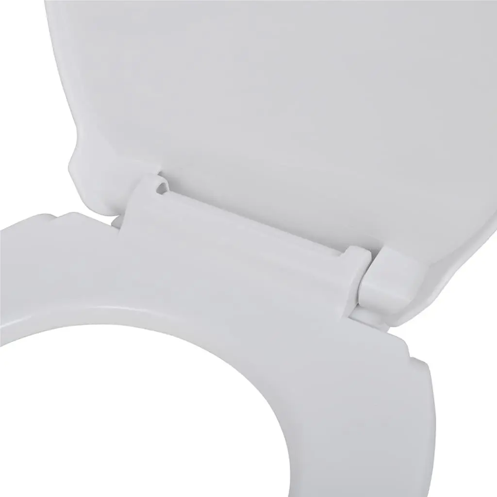 Toilet Seats with Soft Close Lids, 2 Pack