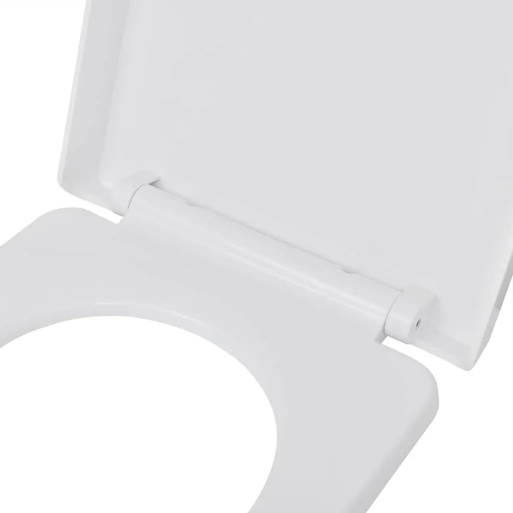 Toilet Seats Soft Close for Standard Bowl White Plastic 2 Pack