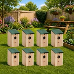Specifications of 8 Pcs Wooden Birdhouse Garden Set