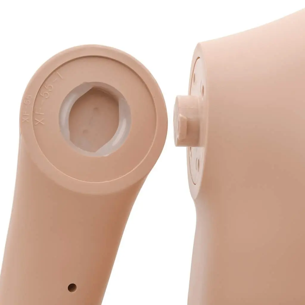 Female Mannequin Display Figure for Boutique Shop 360° Adjustable Head Arms Beige