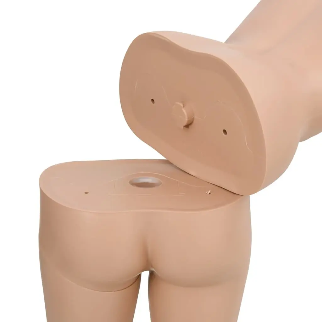 Female Mannequin Display Figure for Boutique Shop 360° Adjustable Head Arms Beige