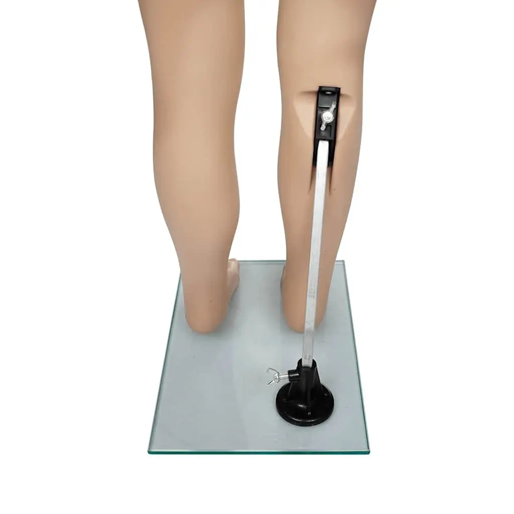 Child Mannequin Display Torso Beige Removable Arms Head Rotating Retail Shop