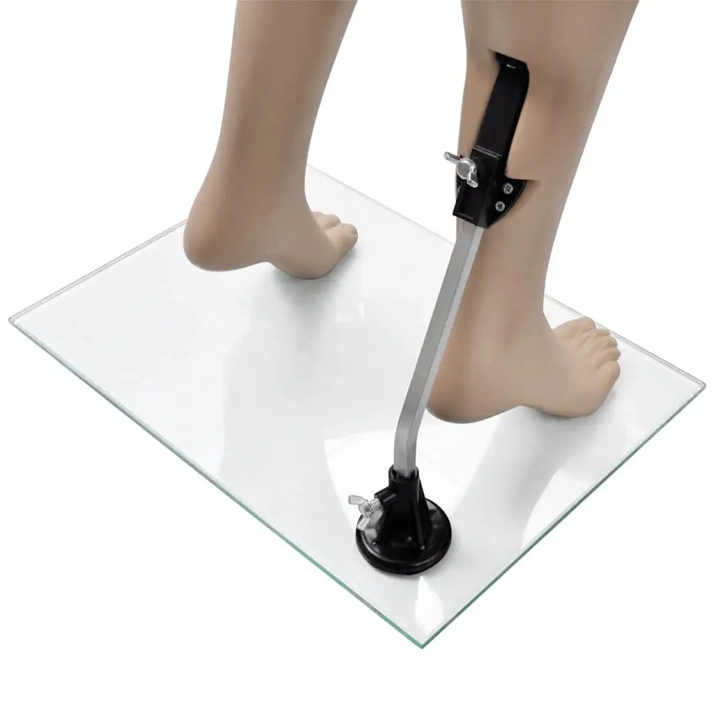 Female Display Mannequin for Fashion Retail 6 Piece Beige Torso with Glass Base Stand