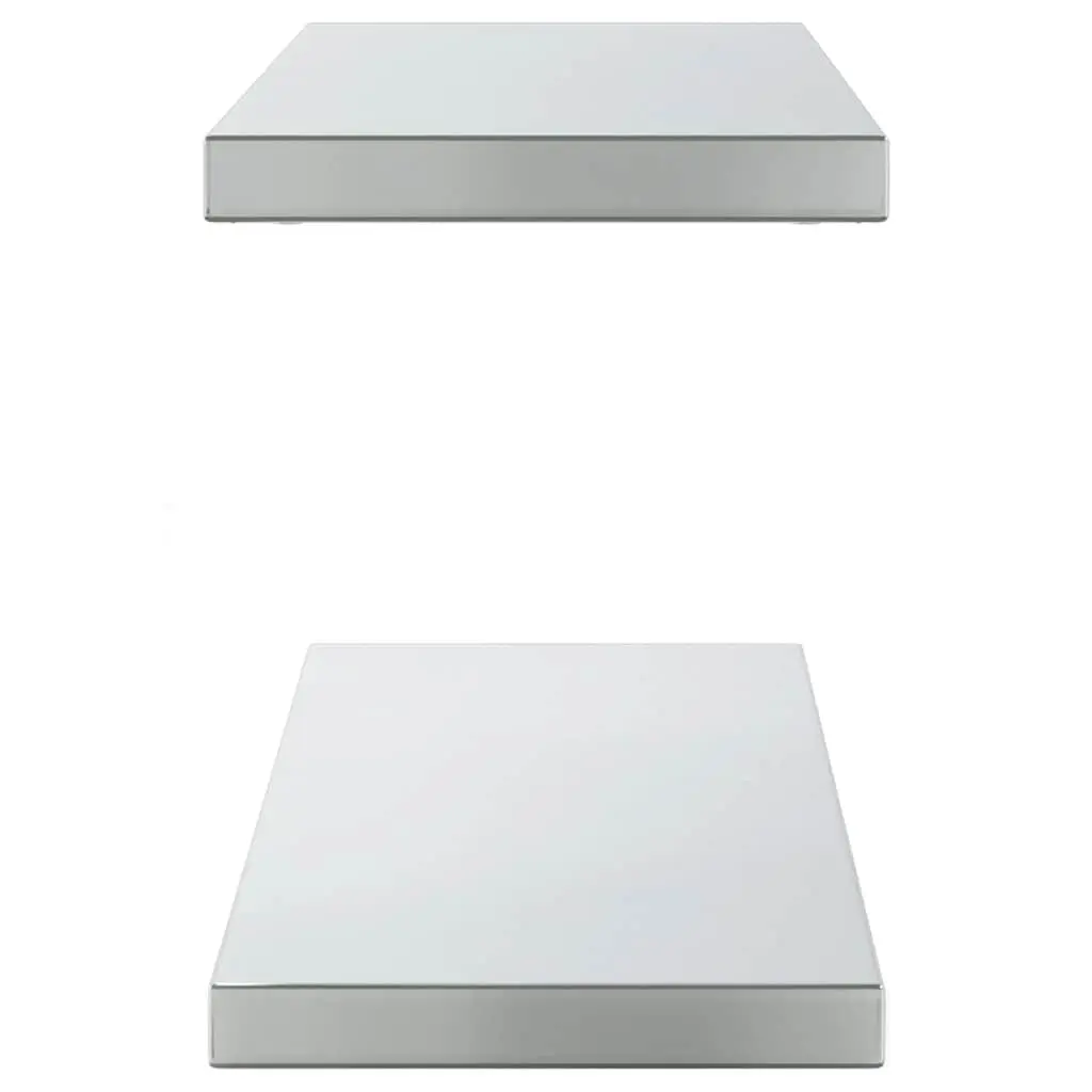 Wall Shelves Living Room Bedroom Office 100x23.5 cm Silver Stainless Steel Floating Storage Display