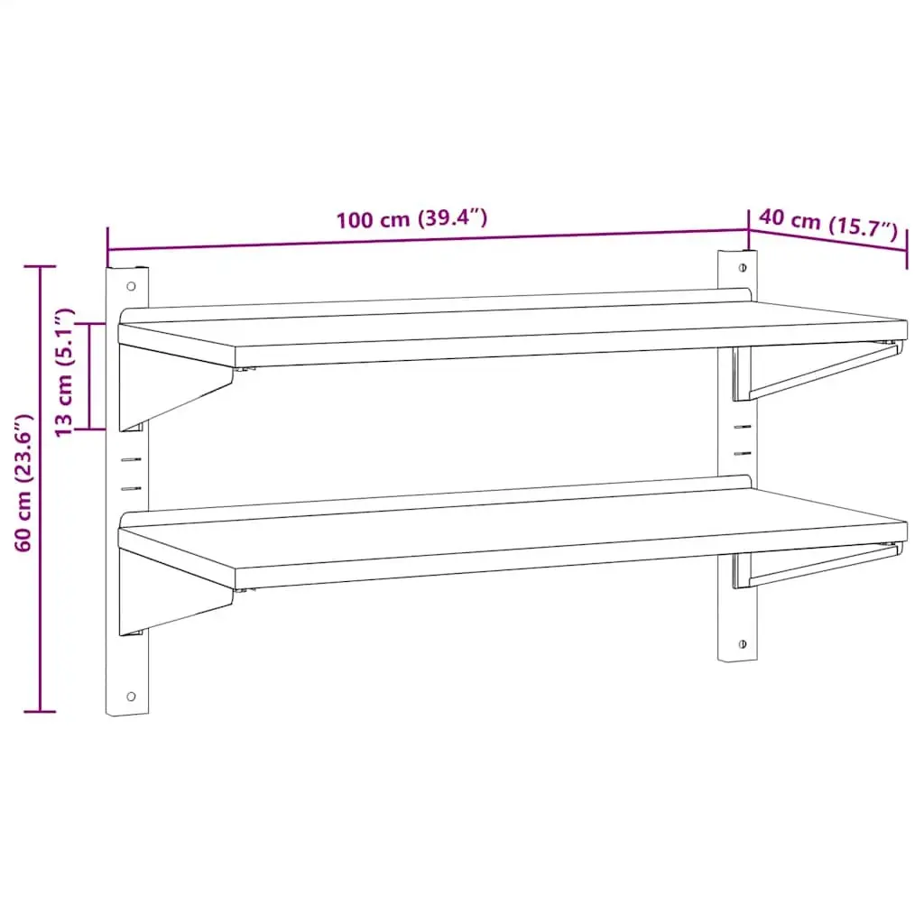 2-Tier Wall Shelf Living Room Bedroom Kitchen Garage 100x40x60 cm Silver Stainless Steel