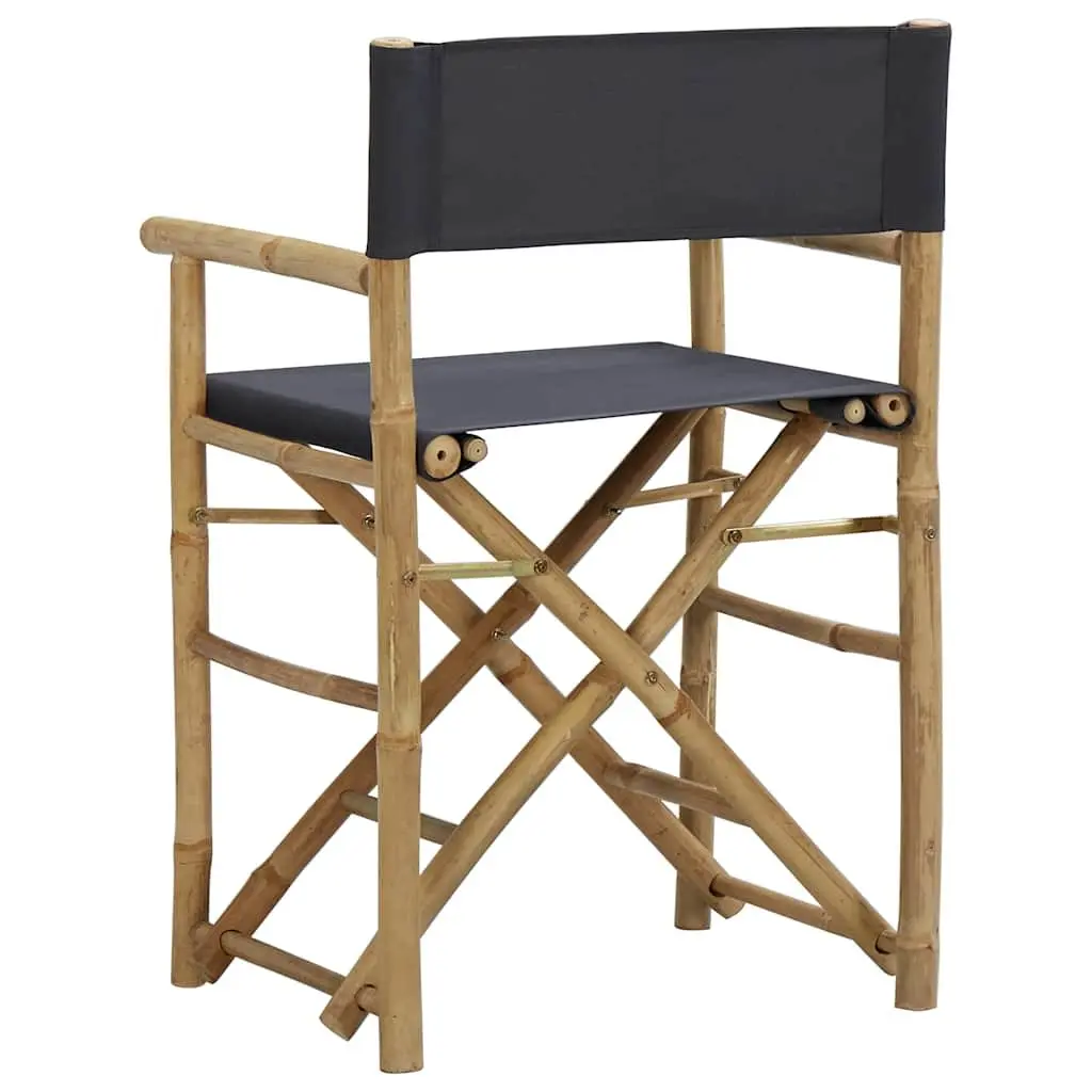 2 Grey Folding Director's Chairs
