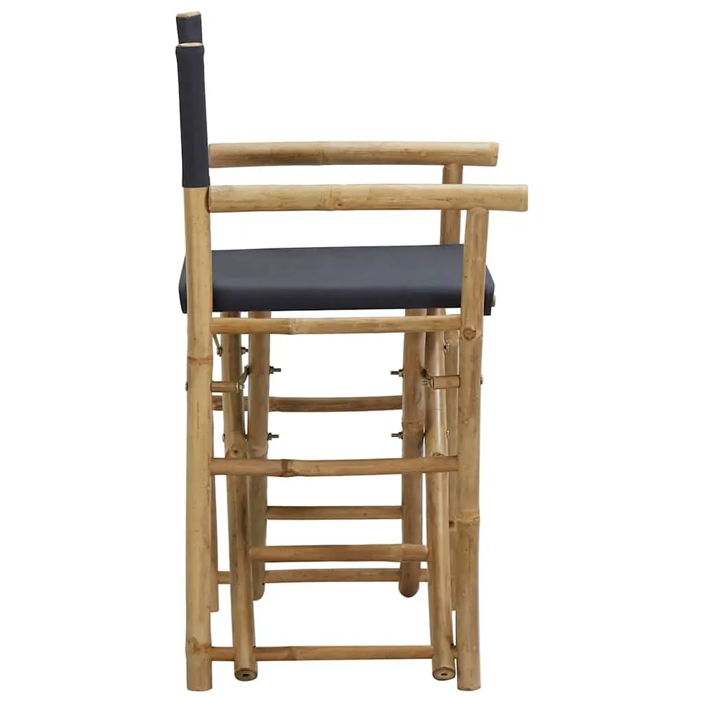 2 Grey Folding Director's Chairs